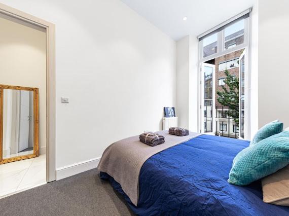 Harley Street Luxury Snug Apartment ลอนดอน ภายนอก รูปภาพ