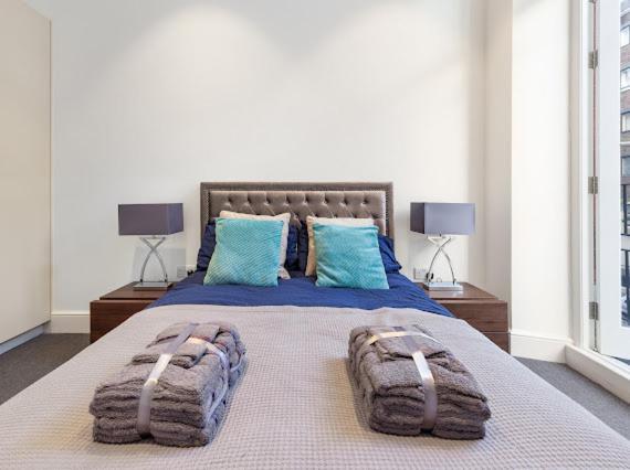 Harley Street Luxury Snug Apartment ลอนดอน ภายนอก รูปภาพ